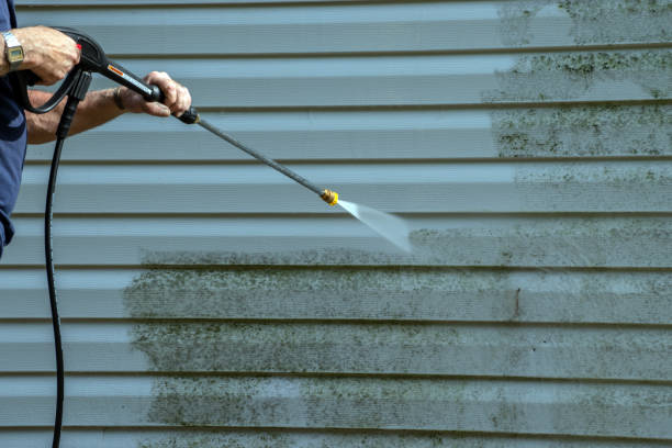 Animal Enclosure Cleaning in East Peoria, IL